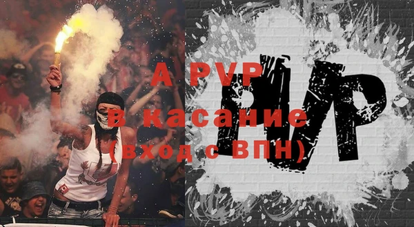 ГАЛЛЮЦИНОГЕННЫЕ ГРИБЫ Белокуриха
