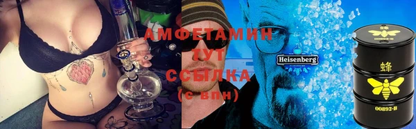 ГАЛЛЮЦИНОГЕННЫЕ ГРИБЫ Белокуриха